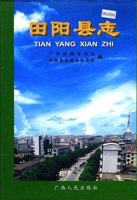《田阳县志》.pdf_广西壮族自治区志缩略图
