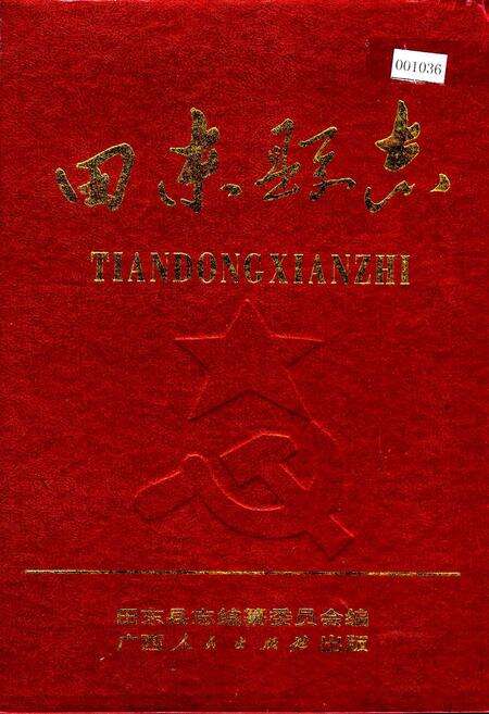 《田东县志》.pdf_广西壮族自治区志缩略图