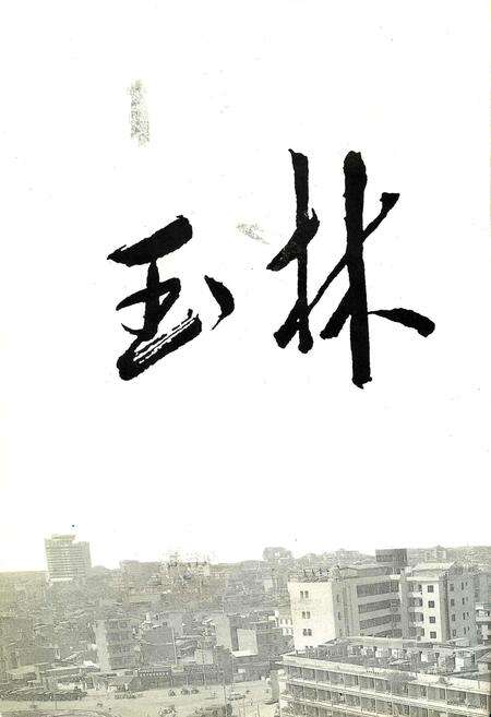 《玉林市志》.pdf_广西壮族自治区志预览图2