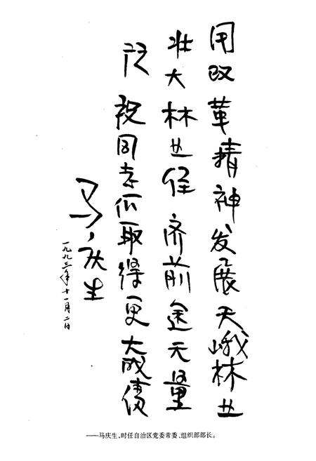 《林朵林场志》.pdf_广西壮族自治区志预览图4