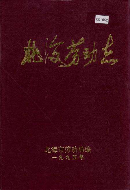 《北海市劳动志》.pdf_广西壮族自治区志缩略图