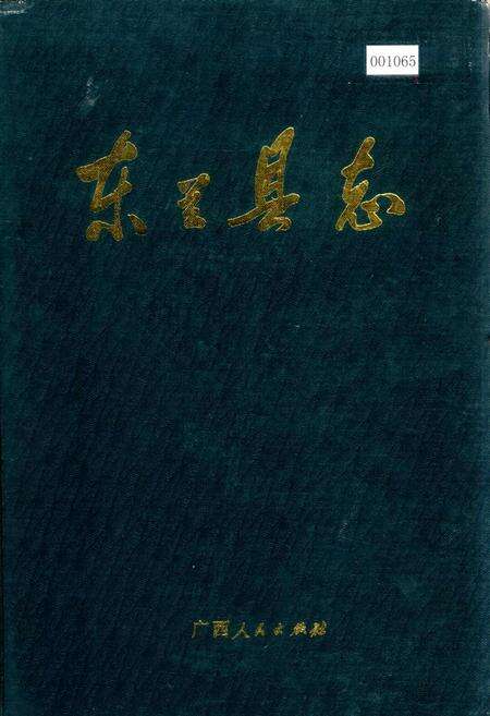 《东兰县志》.pdf_广西壮族自治区志缩略图