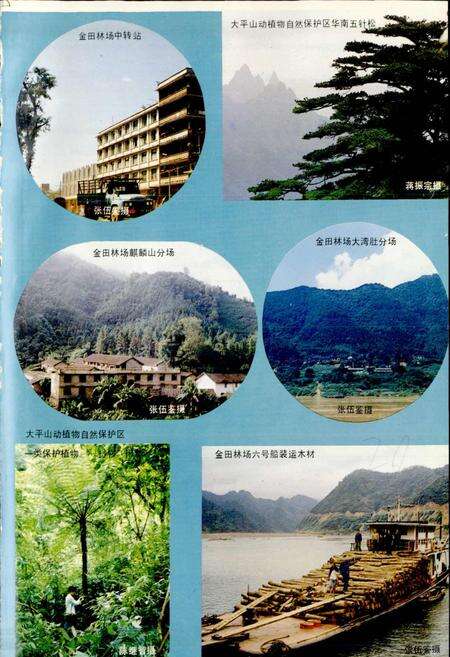 《广西壮族自治区桂平县地名志》.pdf_广西壮族自治区志预览图5