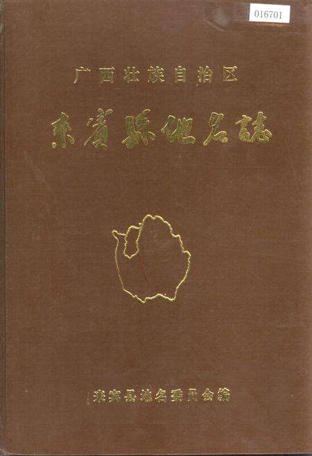 《广西壮族自治区来宾县地名志》.pdf_广西壮族自治区志缩略图