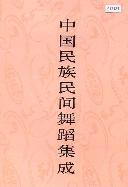 《中国民族民间舞蹈集成 广西卷 下》.pdf_广西壮族自治区志缩略图