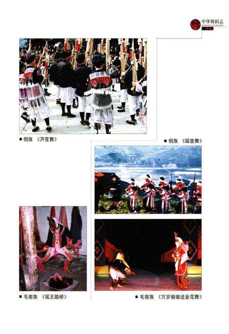 《中华舞蹈卷·广西卷》.pdf_广西壮族自治区志预览图4