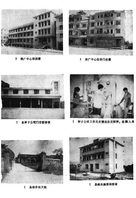 《融安县农业局志》.pdf_广西壮族自治区志预览图2