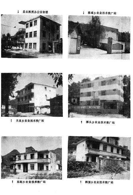 《融安县农业局志》.pdf_广西壮族自治区志预览图3