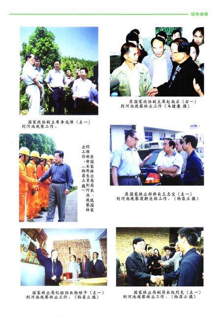 《河池市林业志》.pdf_广西壮族自治区志预览图4