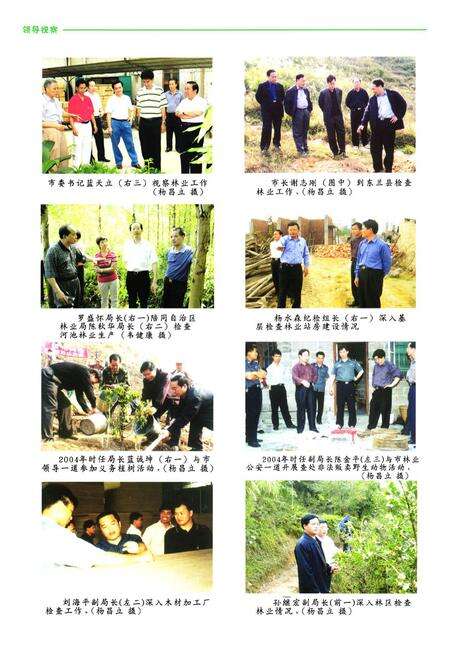 《河池市林业志》.pdf_广西壮族自治区志预览图5