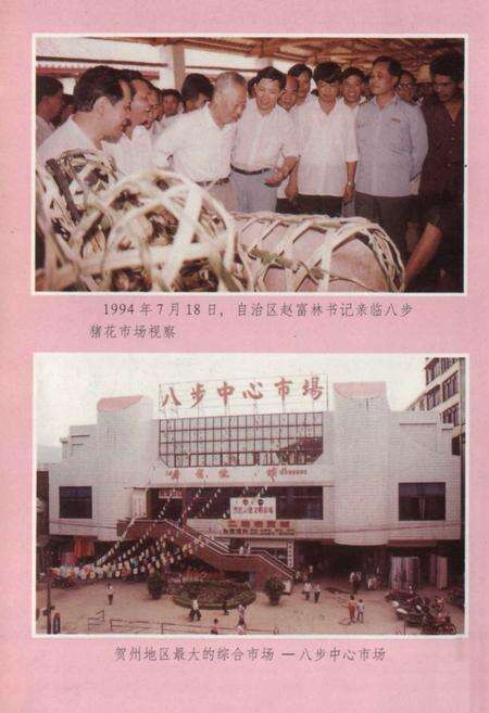 《贺州市工商行政管理志》.pdf_广西壮族自治区志预览图3