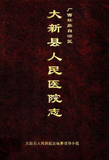 《大新县人民医院志》.pdf_广西壮族自治区志缩略图