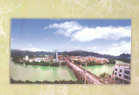 《《环江毛南族自治县矿业志》》.pdf_广西壮族自治区志预览图2