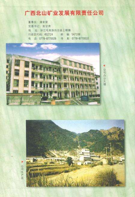 《《环江毛南族自治县矿业志》》.pdf_广西壮族自治区志预览图3