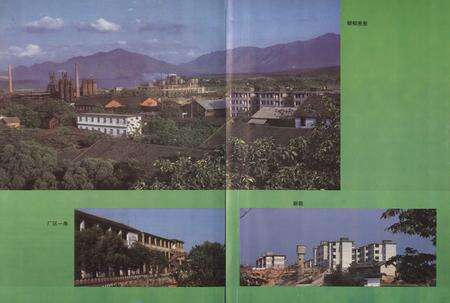 《灵铁志(1968-1989)》.pdf_广西壮族自治区志预览图3