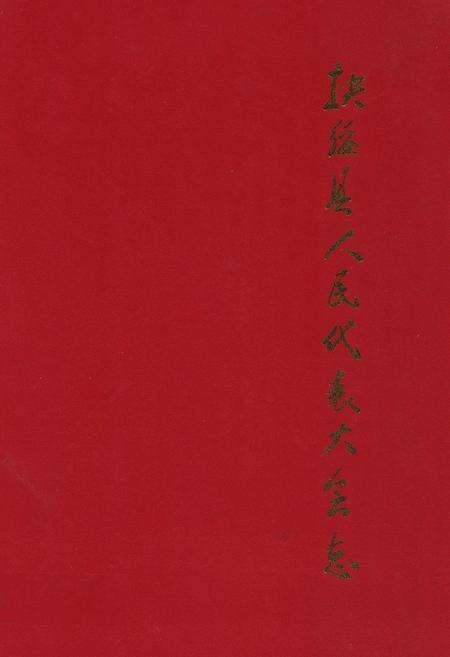 《扶绥县人民代表大会志》.pdf_广西壮族自治区志缩略图