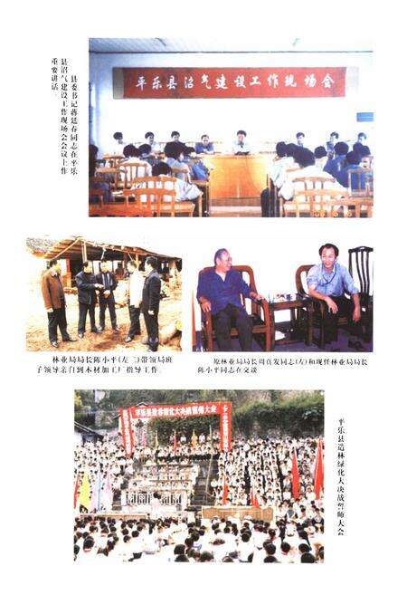 《《平乐县林业志》》.pdf_广西壮族自治区志预览图4