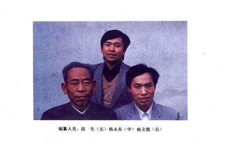 《龙胜各族自治县对外经贸易志》.pdf_广西壮族自治区志预览图4