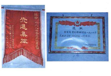 《龙胜各族自治县对外经贸易志》.pdf_广西壮族自治区志预览图5