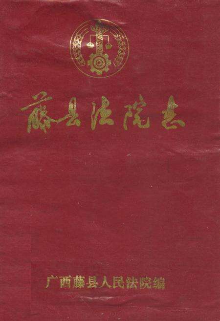 《藤县法院志》.pdf_广西壮族自治区志缩略图