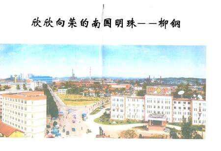 《柳钢大事记(1957.8~2002.12)》.pdf_广西壮族自治区志预览图5