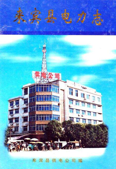 《《来宾县电力志》》.pdf_广西壮族自治区志缩略图