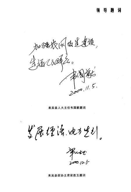 《《来宾县电力志》》.pdf_广西壮族自治区志预览图4