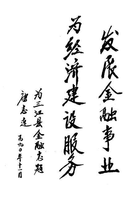 《《三江县金融志》》.pdf_广西壮族自治区志预览图3