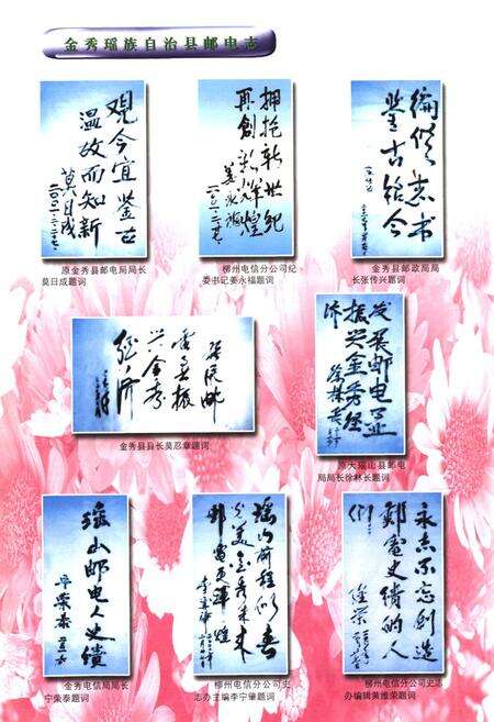 《《金秀瑶族自治县邮电志》》.pdf_广西壮族自治区志预览图3