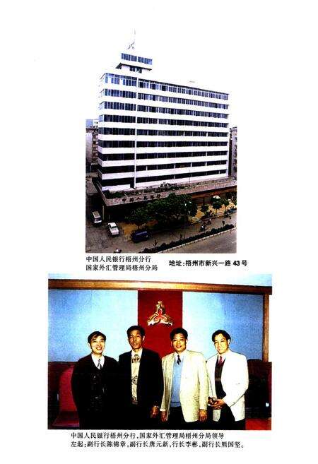 《梧州市金融志(下篇)》.pdf_广西壮族自治区志预览图4