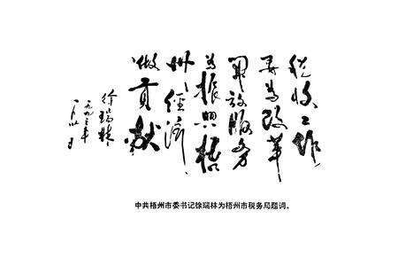 《梧州市税务志》.pdf_广西壮族自治区志预览图5