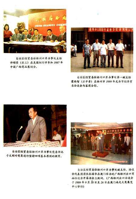 《梧州口岸外经济志》.pdf_广西壮族自治区志预览图3