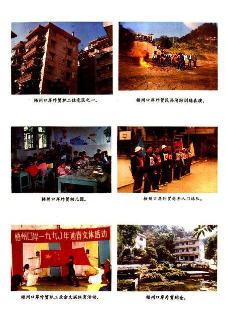 《梧州口岸外经济志》.pdf_广西壮族自治区志预览图5