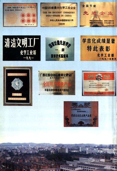 《鹿化志》.pdf_广西壮族自治区志预览图3