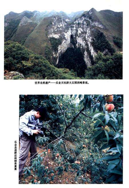 《乐业县土地志》.pdf_广西壮族自治区志预览图5