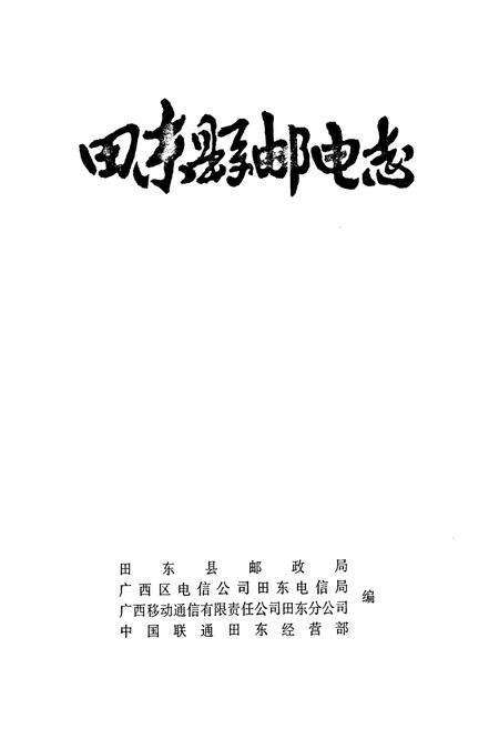 《《田东县邮电志》》.pdf_广西壮族自治区志预览图1