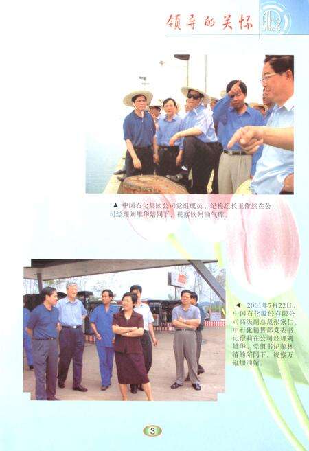 《《广西石油志》》.pdf_广西壮族自治区志预览图4