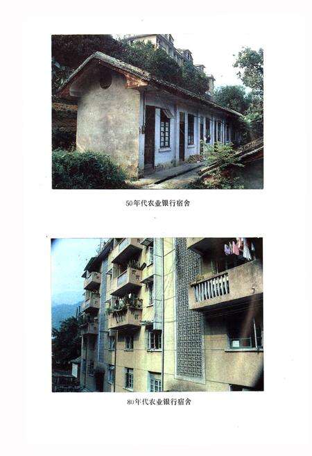 《龙胜各族自治县金融志》.pdf_广西壮族自治区志预览图5