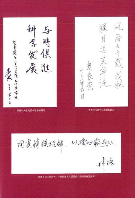 《《贵港市人民医院志(1938~2008)》》.pdf_广西壮族自治区志预览图4