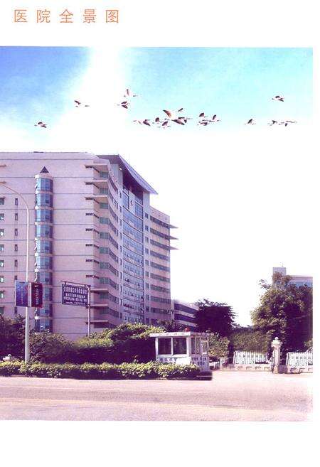 《《贵港市人民医院志(1938~2008)》》.pdf_广西壮族自治区志预览图5