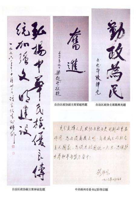 《梧州市政协志》.pdf_广西壮族自治区志预览图3