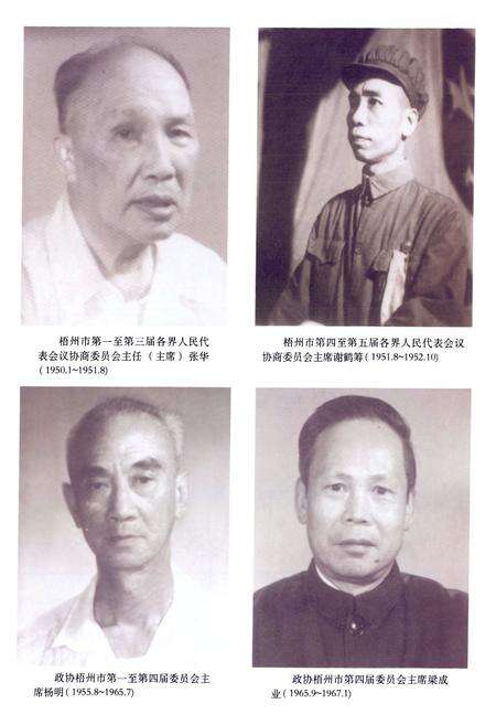 《梧州市政协志》.pdf_广西壮族自治区志预览图4