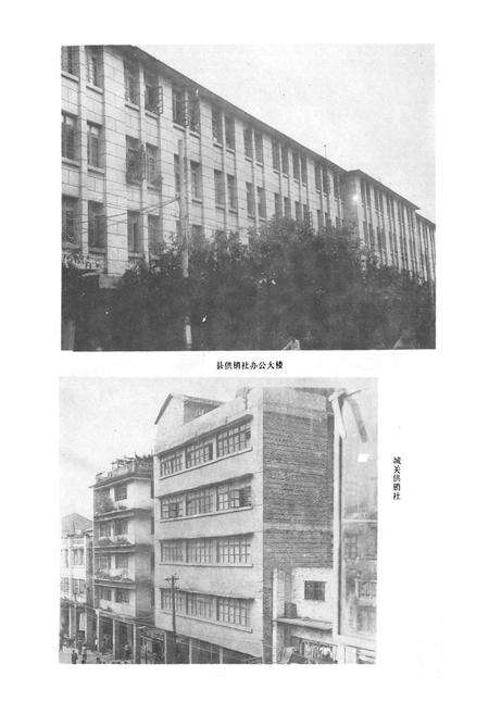 《广西壮族自治区藤县供销合作社志》.pdf_广西壮族自治区志预览图4