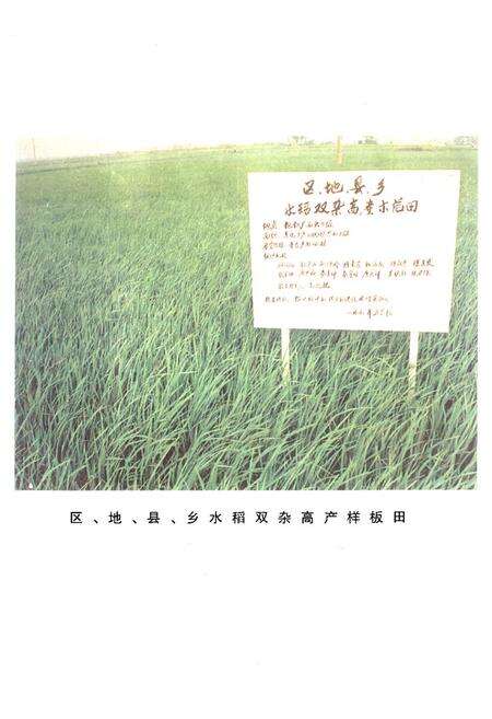 《灵川县农业志》.pdf_广西壮族自治区志预览图3