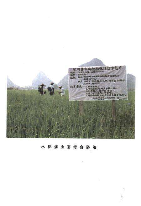 《灵川县农业志》.pdf_广西壮族自治区志预览图4