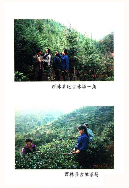 《西林县扶贫经济开发志》.pdf_广西壮族自治区志预览图3