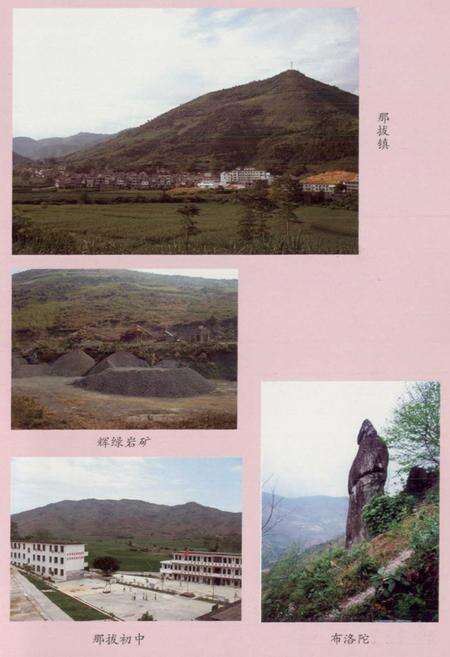 《那拔志》.pdf_广西壮族自治区志预览图2