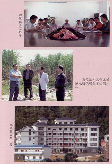 《那拔志》.pdf_广西壮族自治区志预览图4