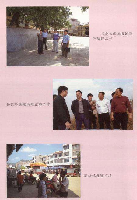 《那拔志》.pdf_广西壮族自治区志预览图5
