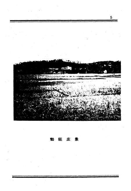 《勃旺庄志》.pdf_广西壮族自治区志预览图4